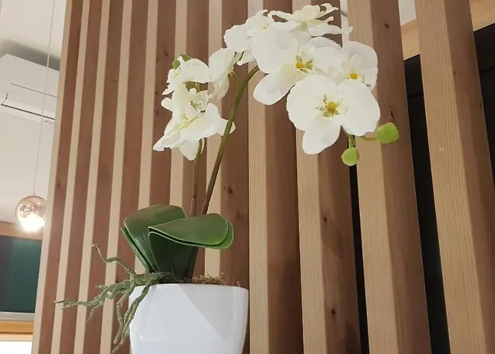 Appartement Appprusnik